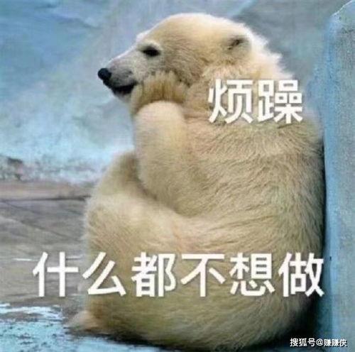 超酷的吃瓜群众图片,图说网络热议背后的众生相